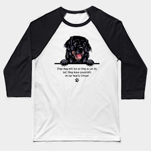 Dogs may not live as long as we do, but they leave pawprints  on our hearts forever Baseball T-Shirt